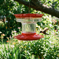 Ant-Proof Hummingbird Feeder Perch